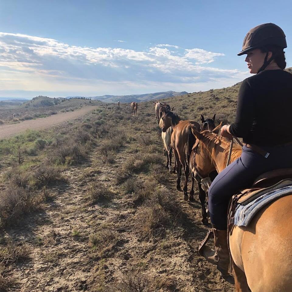 Caitlin trailing in remuda_favorite morning ride