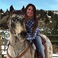 Horses_Stanley & Hannah Hoffman